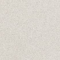 Volcanic Ash Grey (500x500mm)